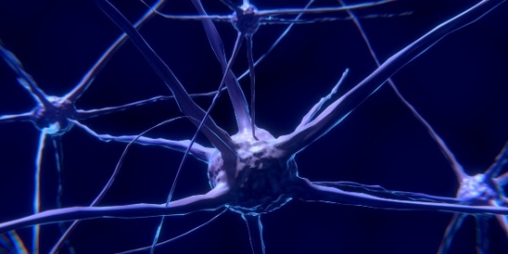 Esclerose Múltipla: a perspetiva da Neurologia e a da Psicologia