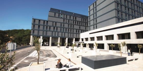 Sindicato queixa-se de falta de enfermeiros no hospital de Vila Franca de Xira
