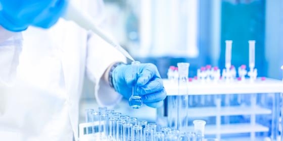 Dois investigadores de Coimbra distinguidos pela Fundação Gulbenkian