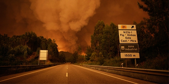 Enfermeiros oferecem-se para ajudar vítimas dos incêndios