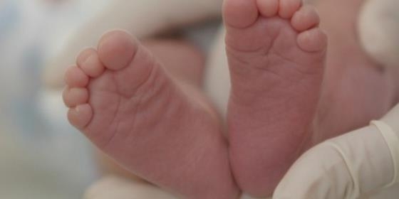 Taxa de mortalidade infantil em Portugal desce 76% em 25 anos