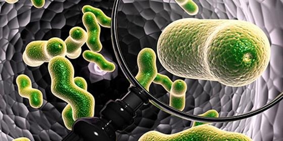 Novo contágio por bactéria multirresistente é "pouco provável"
