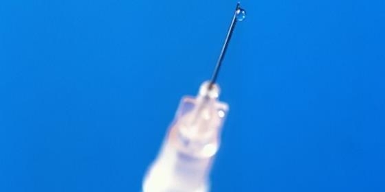 Vacinação de sem-abrigo contra a gripe arranca hoje em Lisboa