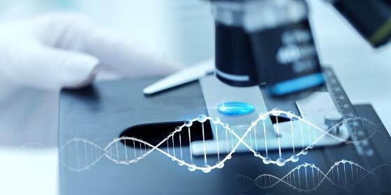 Nobel da Química distingue três cientistas que mapearam reparação de ADN