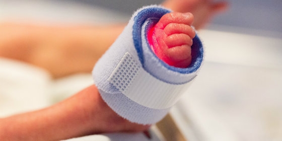 Enfermeiros convidados a participar em estudo sobre cuidados ao prematuro