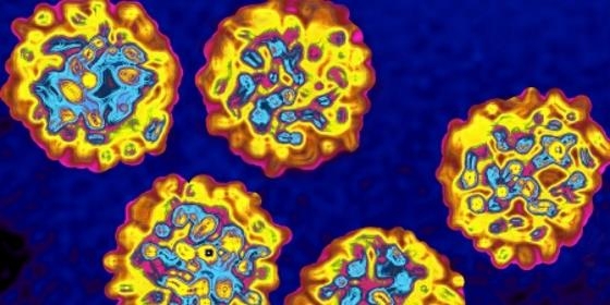 Quase seis mil doentes iniciaram tratamentos para hepatite C