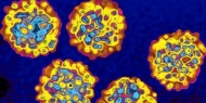 Quase seis mil doentes iniciaram tratamentos para hepatite C