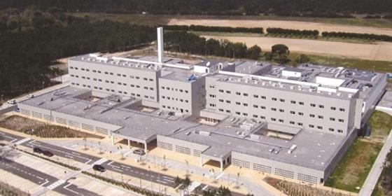 Mais de 90% dos enfermeiros do Hospital do Litoral Alentejano em greve