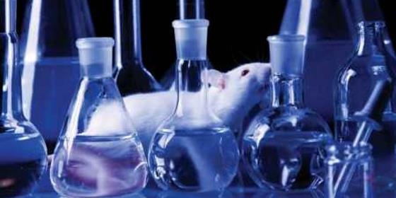 Identificada proteína promissora para tratamento de Alzheimer