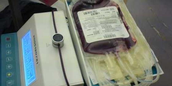 Homossexuais só podem dar sangue se estiverem em abstinência sexual