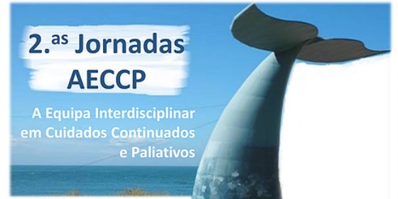 AECCP debate equipa interdisciplinar nos cuidados continuados e paliativos